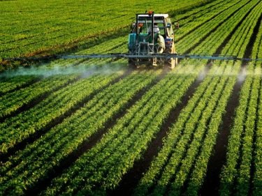 Fertilizer producers ranking