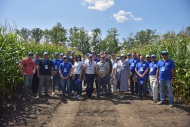 Dekalb on a new development pathway