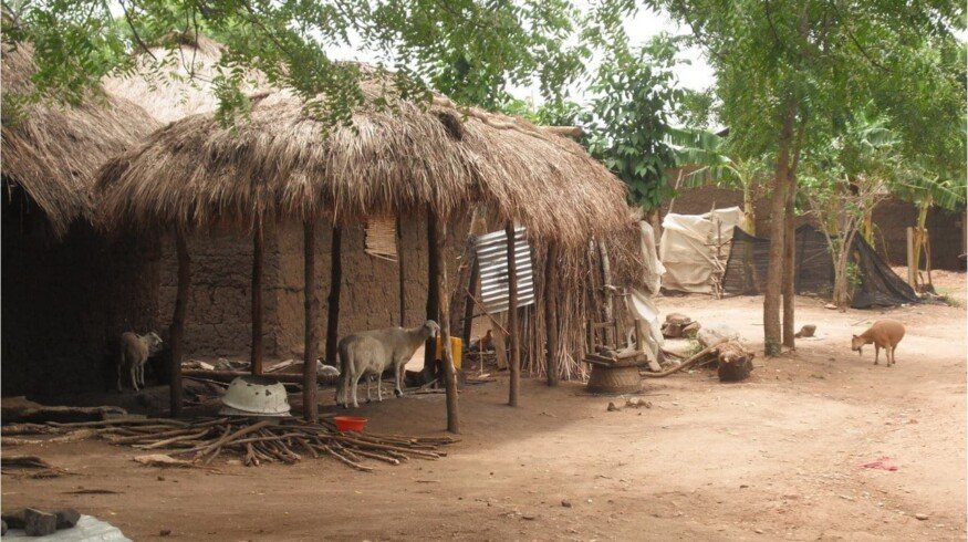 Helping smallholder farmers in Ghana
