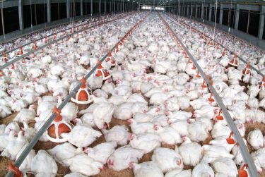 JEWM to produce organic fertilizers