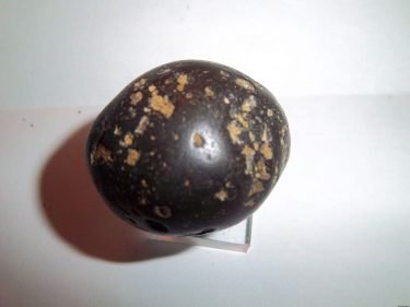 Phosphorite deposit has not found an owner