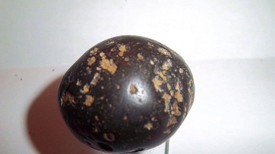 Phosphorite deposit has not found an owner