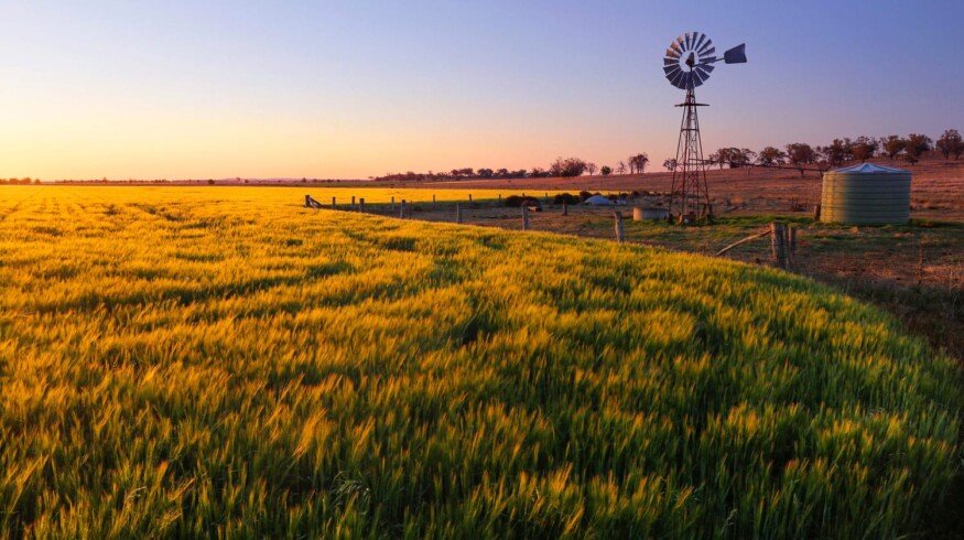 Nutrien wants to buy Ruralco