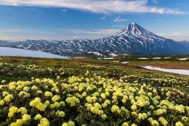 Kamchatka is dealing with “fish broth”