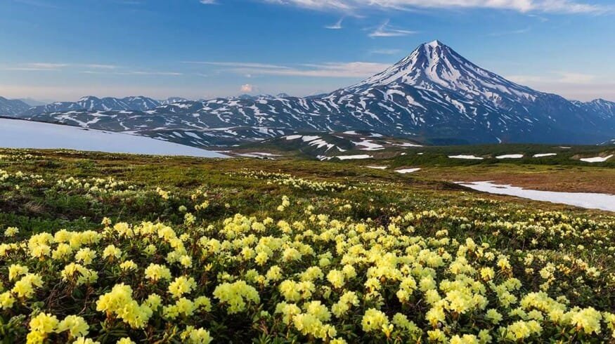 Kamchatka is dealing with “fish broth”