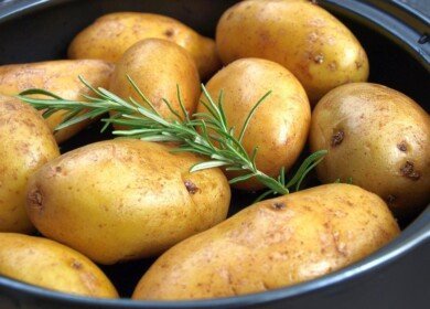 Russia to harvest plenty of potatoes and sunflower seeds