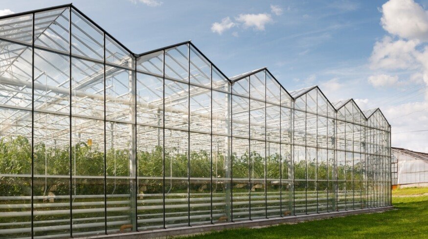 1,125 ha of greenhouses to be built and modernized in Russia by 2025