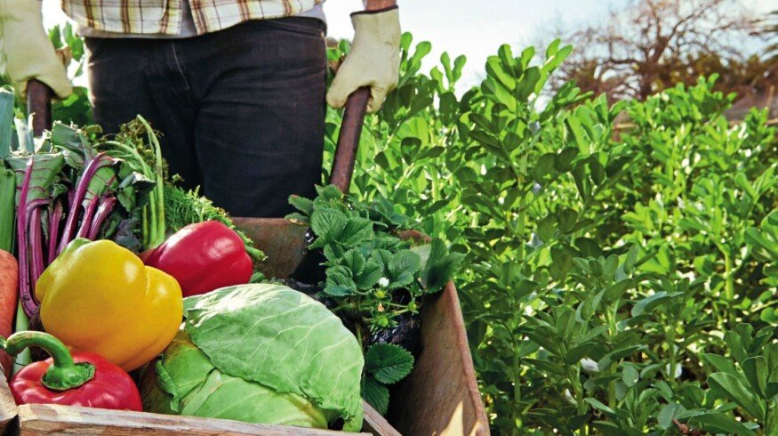 Water soluble fertilizers from Almaz Group will help to intensify agricultural production in Russia
