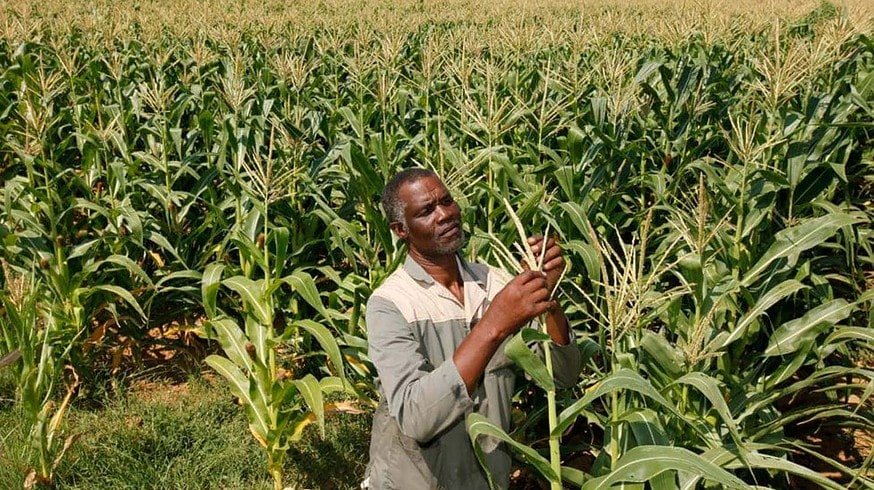 A new fertilizer has been developed in Ghana