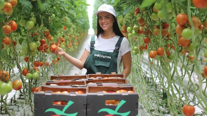 ECO-Culture plans expansion of greenhouse capacities