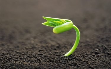 BlauChem to build several plants in Ukraine