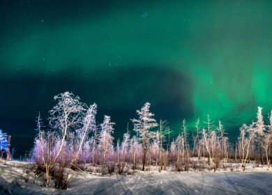An agricultural boom is projected in the north of Krasnoyarsk Krai