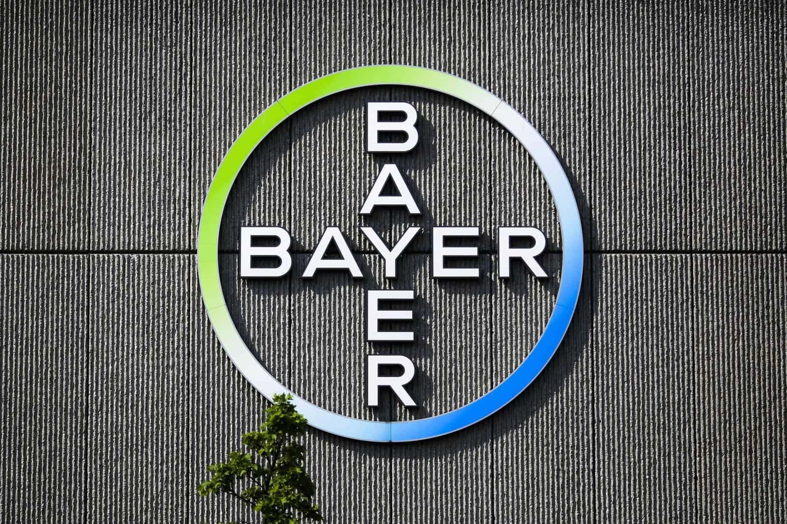 Bayer Gemüse Und Fruchtsaft Gmbh www.fertilizerdaily.com