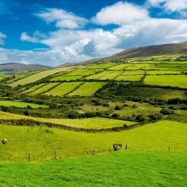 Fertilizer application rules has changed in Northern Ireland