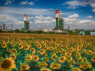 Odessa Port Plant develops export