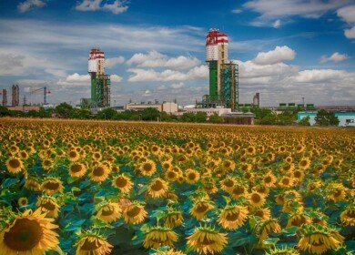 Odessa Port Plant develops export
