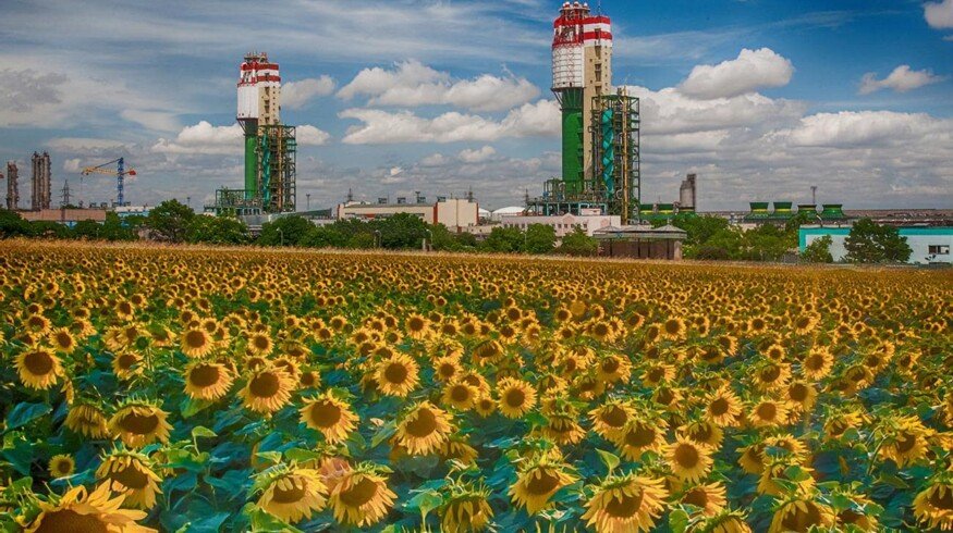 Odessa Port Plant develops export