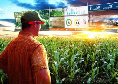 Digital Agro became an InfoBis’s investor