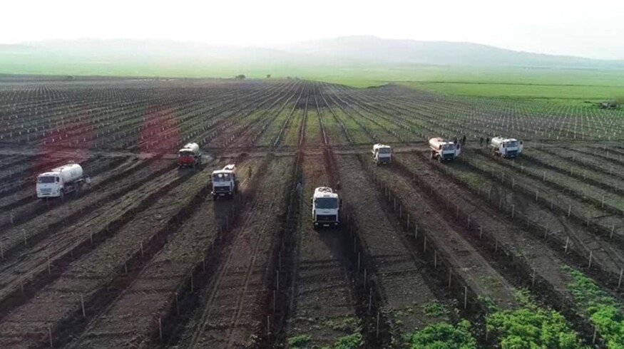 Agrochemicals market completely liberalized in Azerbaijan