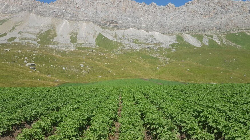 North Ossetia to introduce ecological farming