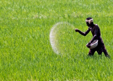 Deepak Fertilizers and Petrochemicals has stopped fertilizer production