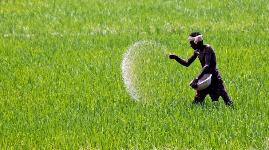 Deepak Fertilizers and Petrochemicals has stopped fertilizer production