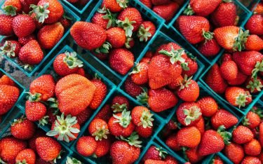 Strawberry complex to appear in Moscow region