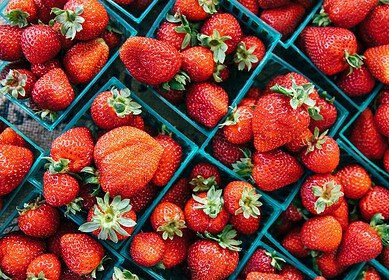 Strawberry complex to appear in Moscow region