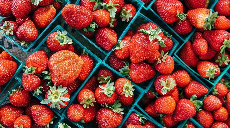 Strawberry complex to appear in Moscow region