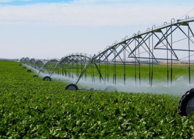 Russian farmers used just 8.3% from amelioration support budget