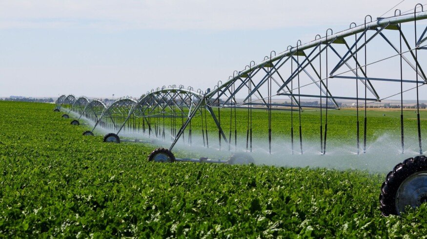 Russian farmers used just 8.3% from amelioration support budget