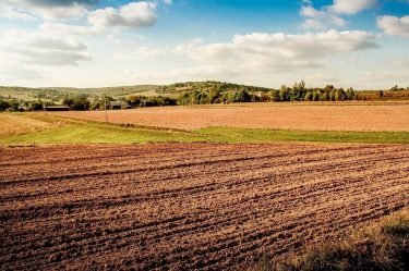 Udmurtia completes sowing of spring crops