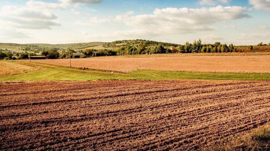Udmurtia completes sowing of spring crops