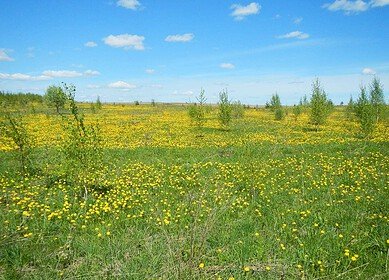 Russia plans to cultivate 4 million ha of unused land