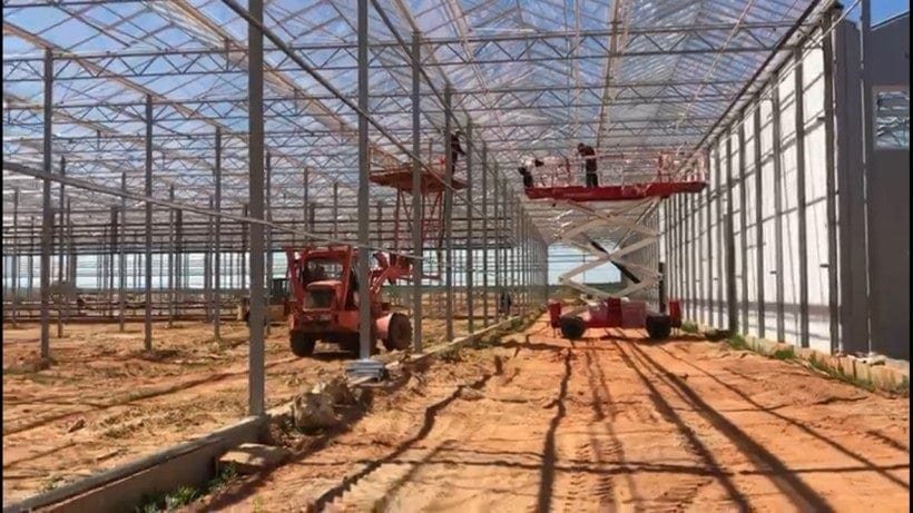 Turovsky greenhouse complex to launch in 3Q2020