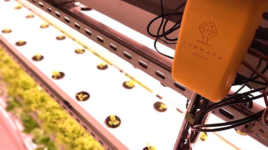 Medical Plants utilize the power of AI