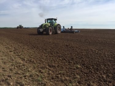 Sowing went smoothly in the Moscow region