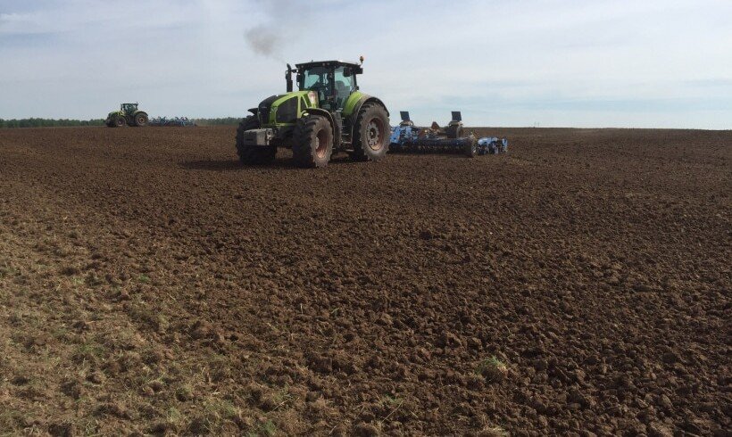 Sowing went smoothly in the Moscow region