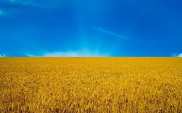 Ecofol plans expansion to the Ukrainian market