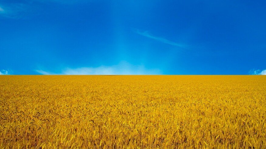 Ecofol plans expansion to the Ukrainian market