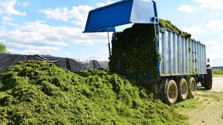 Azerbaijan wants to produce green manure fertilizer