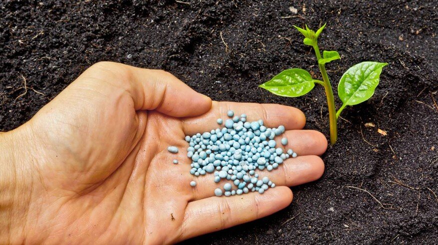 Phosphorus fertilizers production is booming in Russia