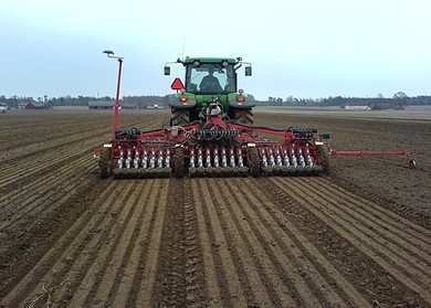 Winter crops will occupy 19 mln. hectares in Russia