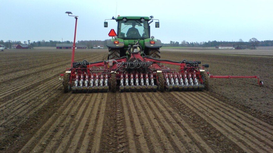 Winter crops will occupy 19 mln. hectares in Russia