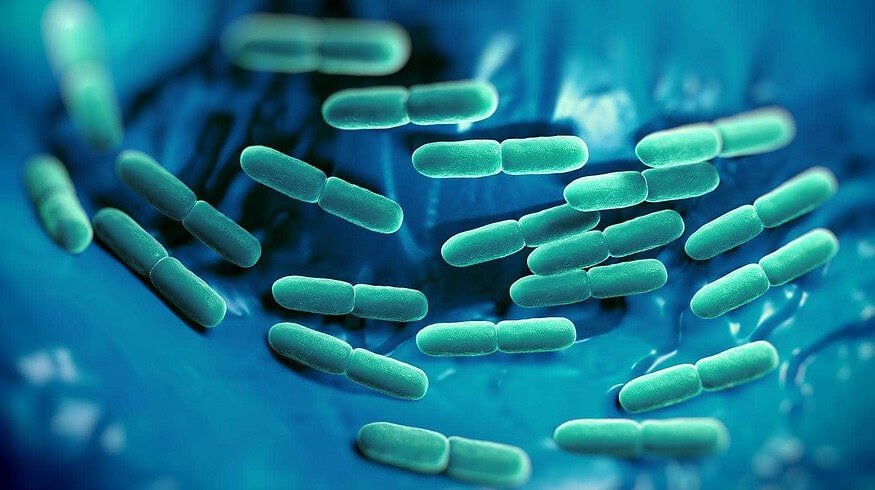 The University of Nizhni Novgorod created innovative fertilizer