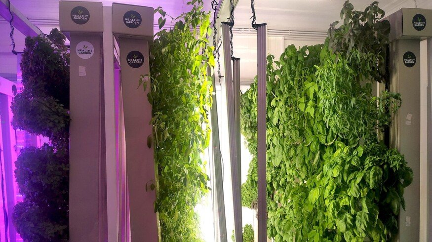 Skolkovo resident created a vertical farms of the future
