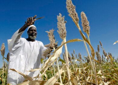 Uralchem plans to start Sudan exports in 2021
