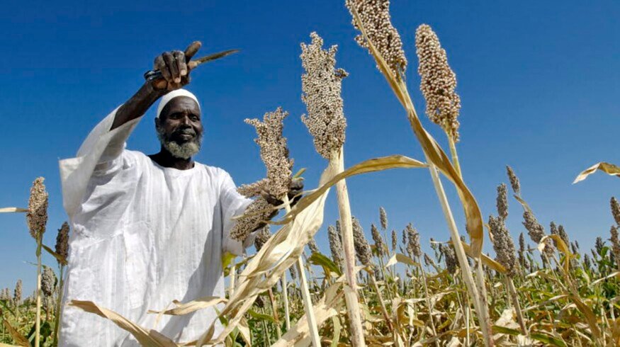 Uralchem plans to start Sudan exports in 2021