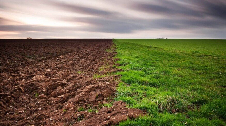 Udmurtia declines area of unused land