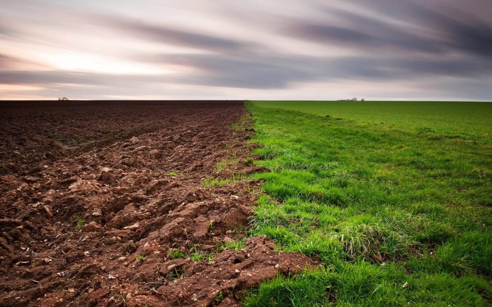 Udmurtia declines area of unused land